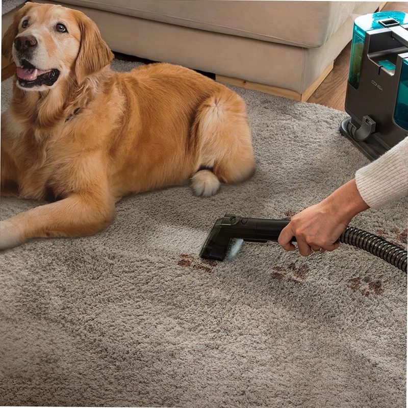 Conga PopStar 3000 CarpetClean