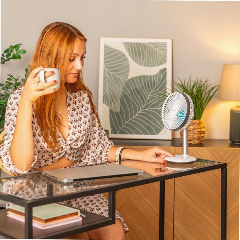EnergySilence 4000 Portable Desk