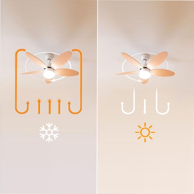 EnergySilence Aero 4260 Orange