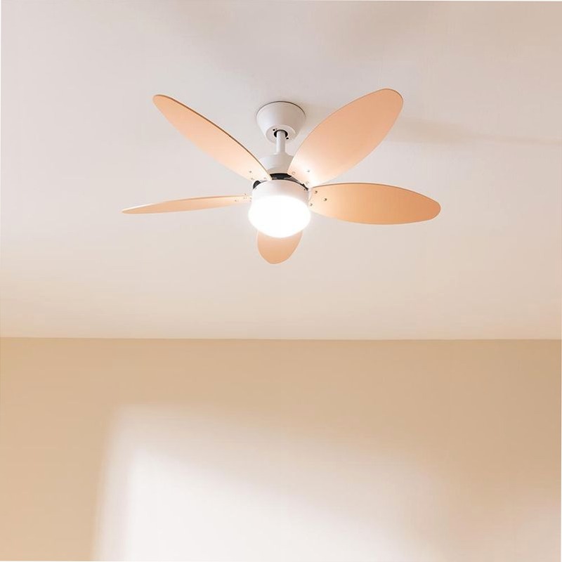 EnergySilence Aero 4260 Orange