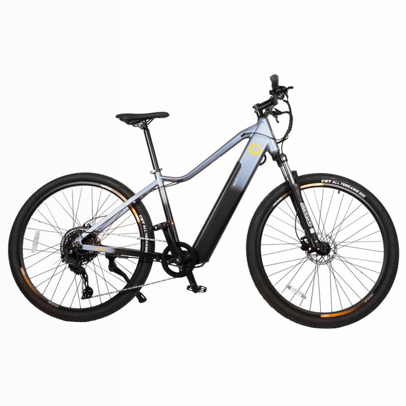 City Men Bicicletta Elettrica