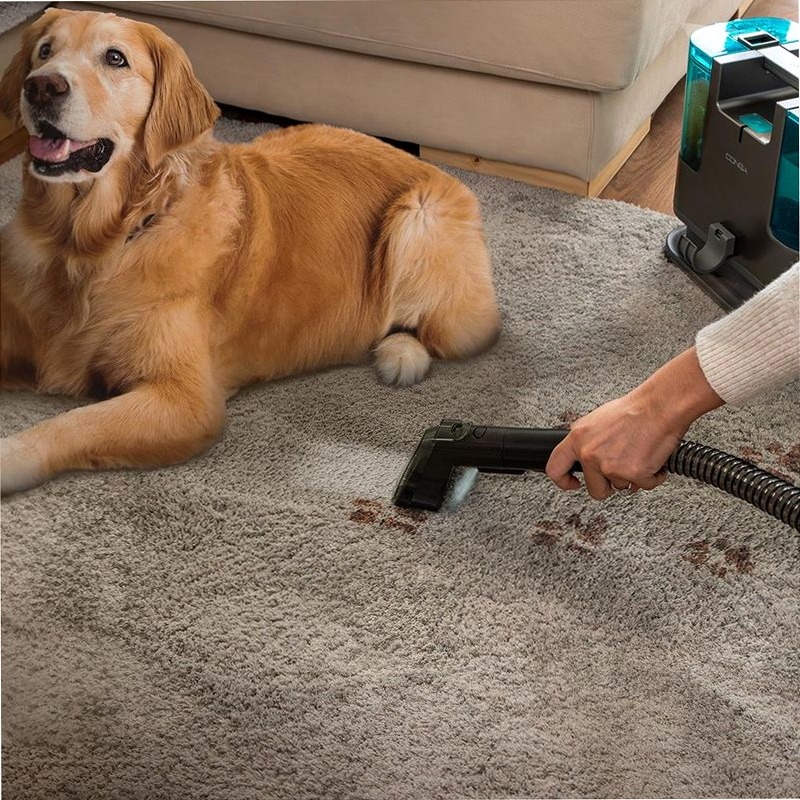 Conga 3000 Carpet&Spot Clean X-Treme