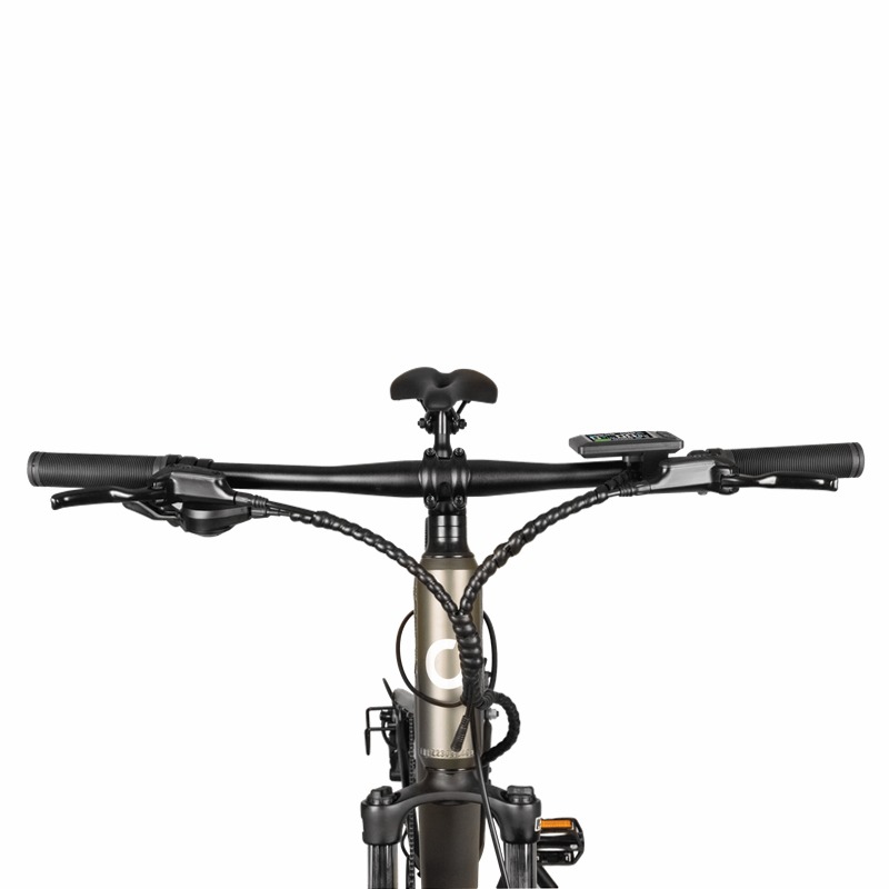 Mountain Supreme Bicicletta Elettrica