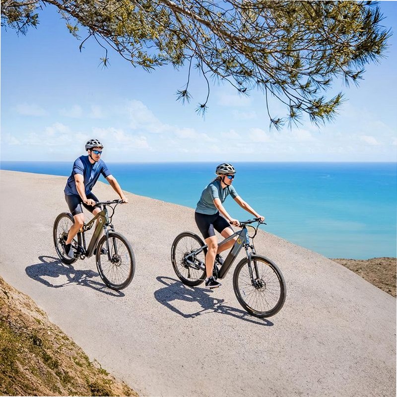 Mountain Supreme Bicicletta Elettrica