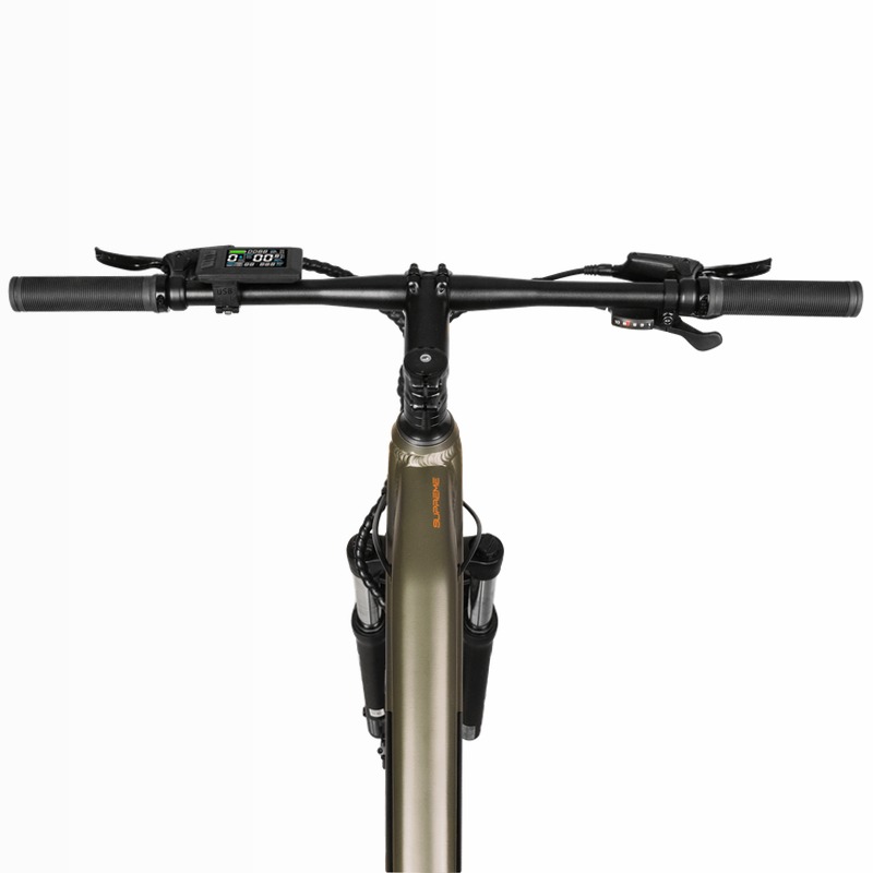 Mountain Supreme Bicicletta Elettrica