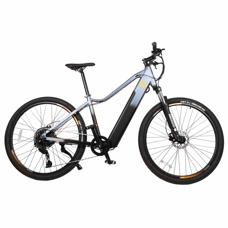Cecotec City Woman Bicicletta Elettrica