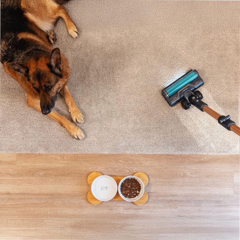 Conga Rockstar 10500 Solar AquaPet Flex