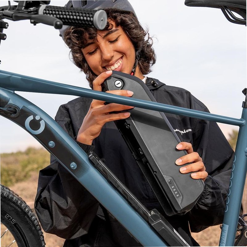 e-Xplore - Bicicletta elettrica mountain