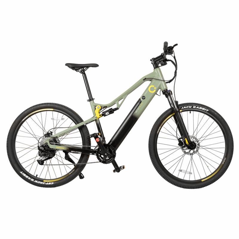 e-Xplore - Bicicletta elettrica mountain