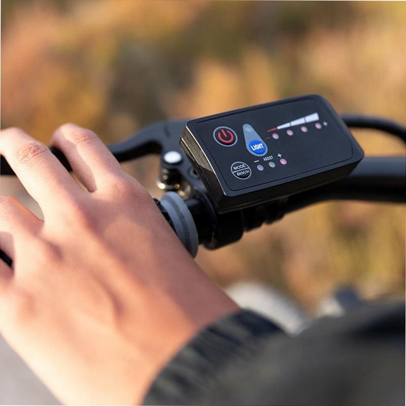 e-Xplore - Bicicletta elettrica mountain