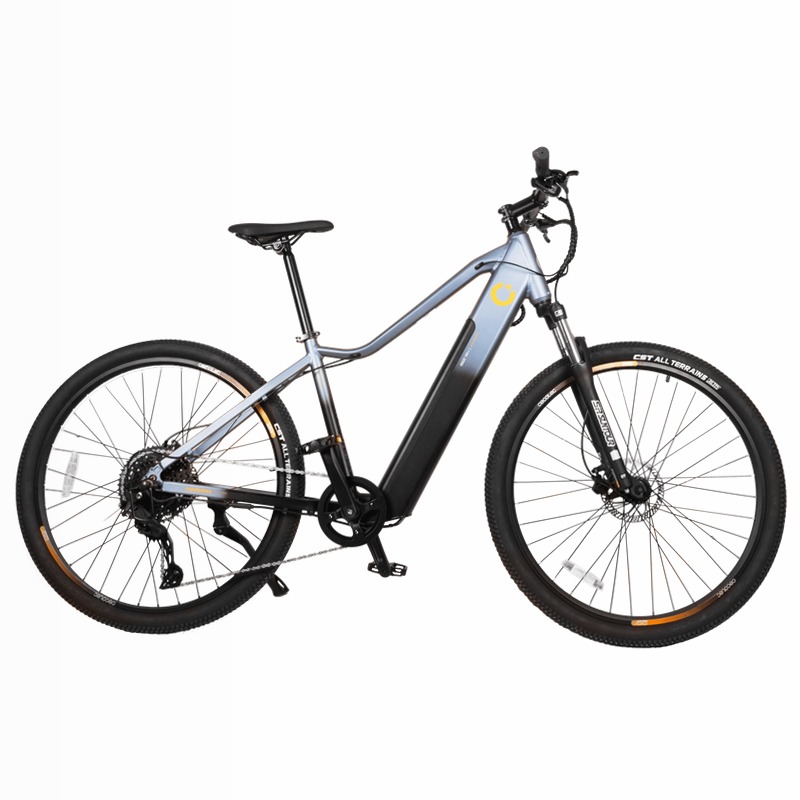 e-Xplore - Bicicletta elettrica mountain