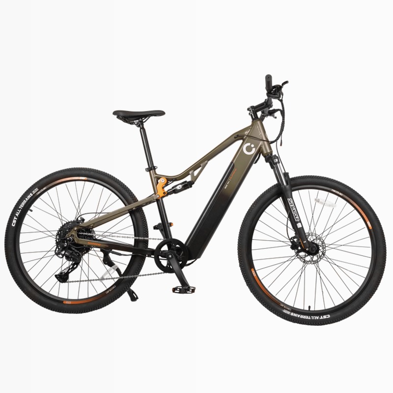 e-Xplore - Bicicletta elettrica mountain