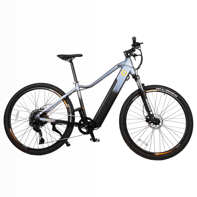 Mountain Avanti Bicicletta Elettrica