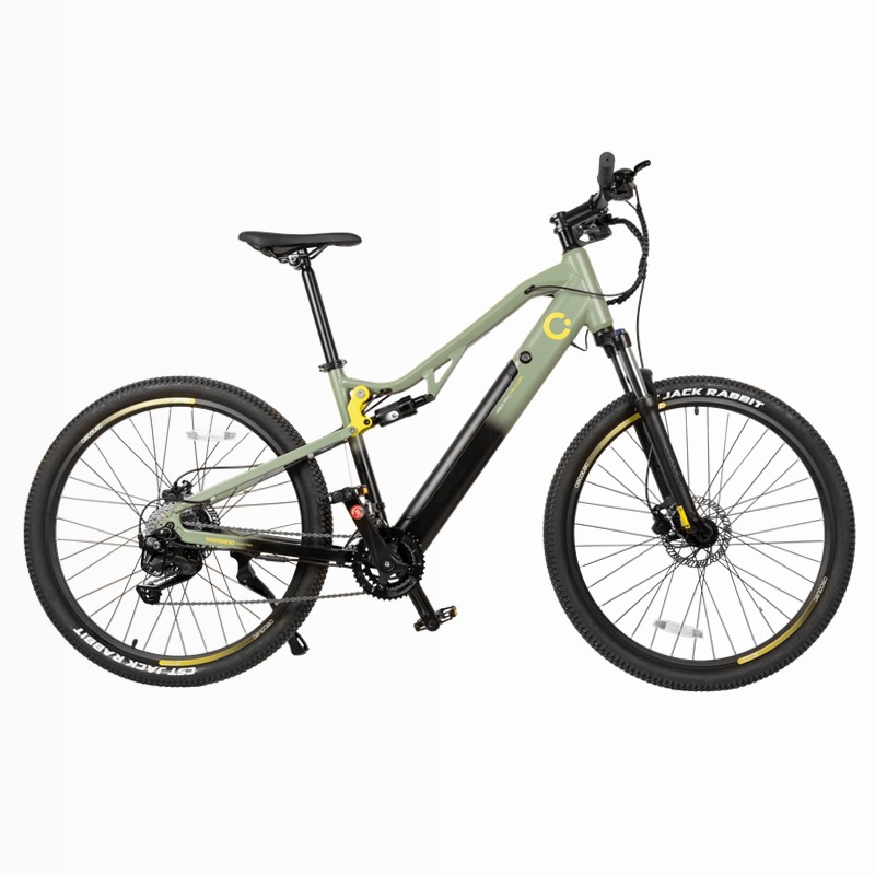 Mountain Avanti Bicicletta Elettrica