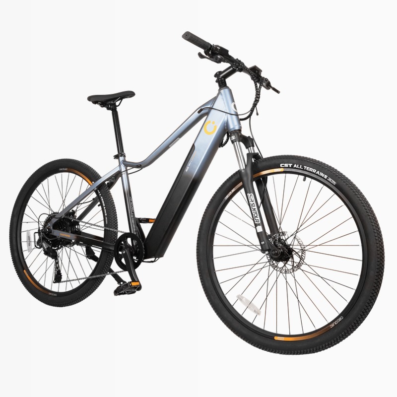 Mountain Avanti Bicicletta Elettrica