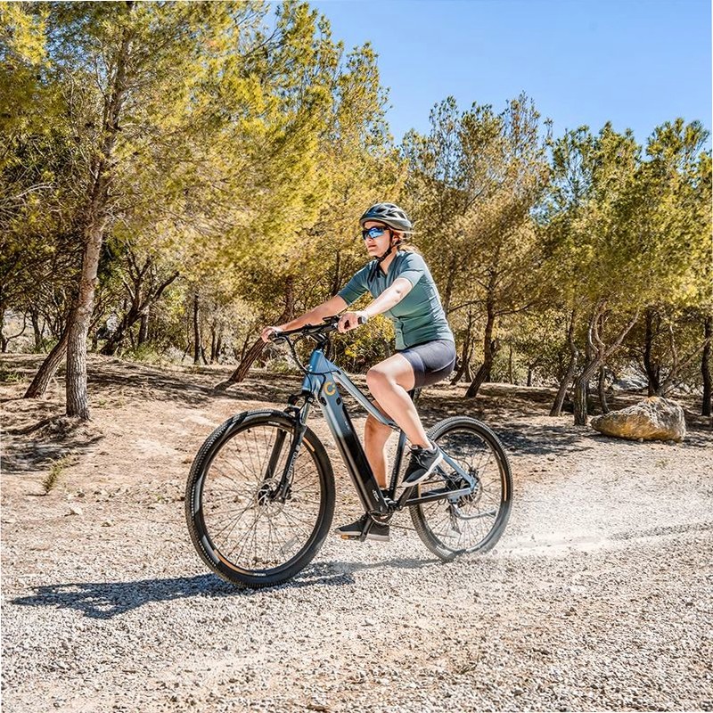 Mountain Avanti Bicicletta Elettrica