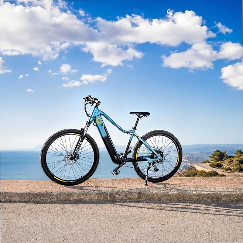 Mountain Avanti Bicicletta Elettrica
