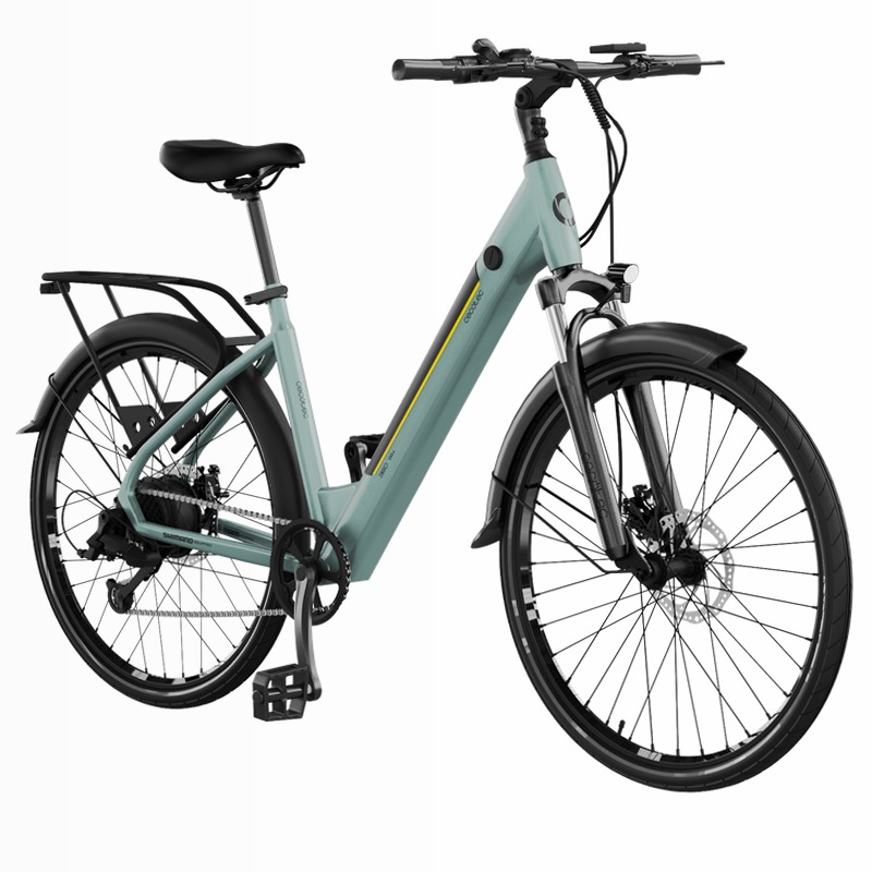 Mountain Avanti Bicicletta Elettrica