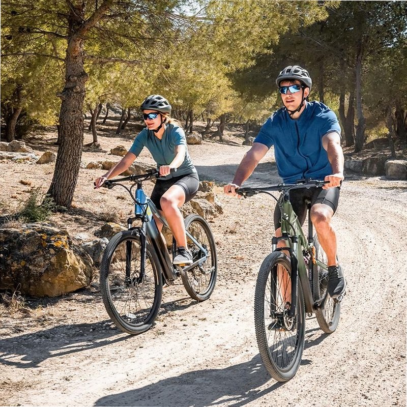 Mountain Avanti Bicicletta Elettrica
