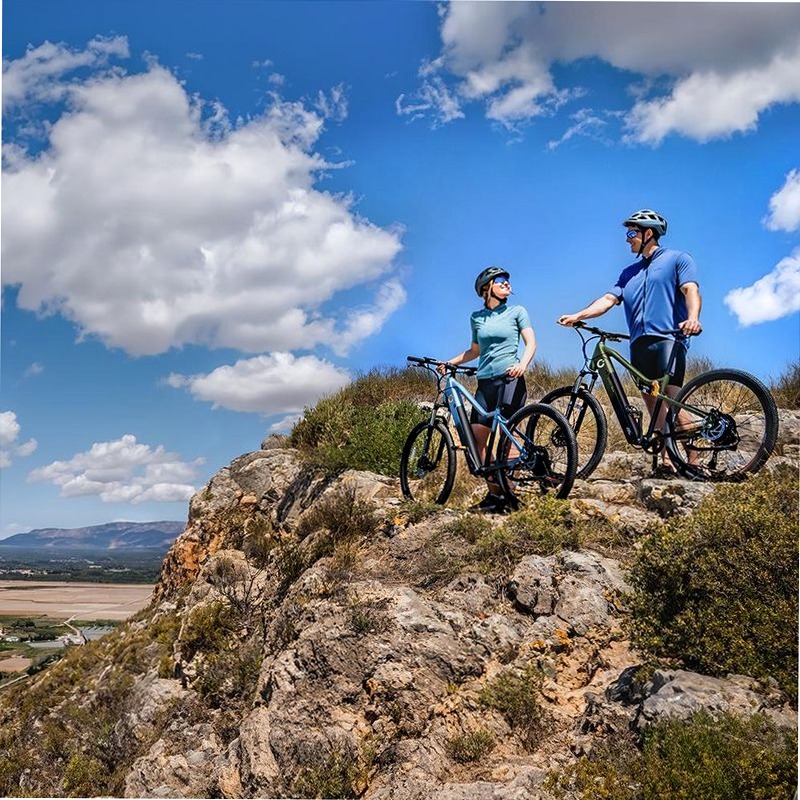 Mountain Avanti Bicicletta Elettrica
