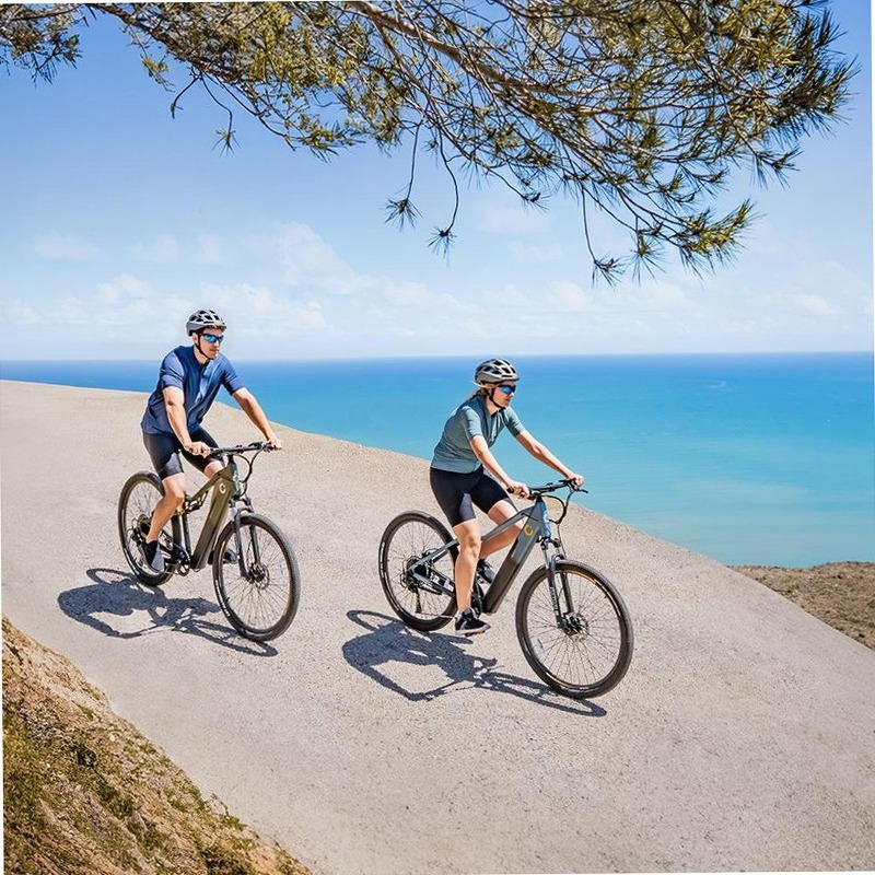 Mountain Avanti Bicicletta Elettrica