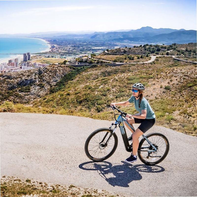 Mountain Avanti Bicicletta Elettrica