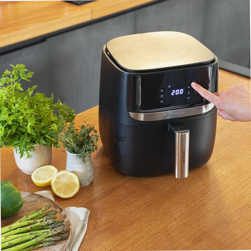 Cecofry Advance Precision