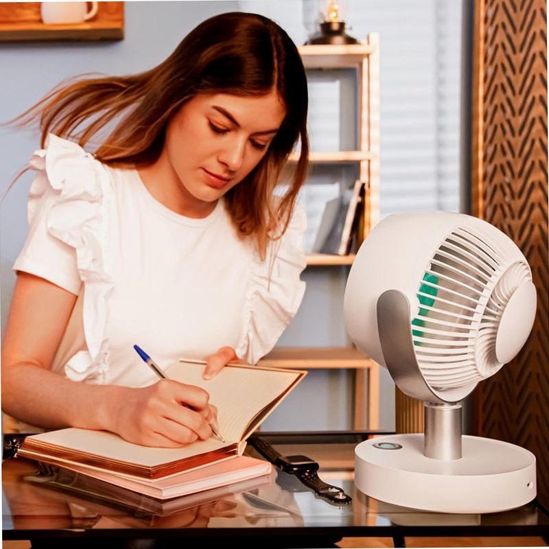EnergySilence 800 Cyclone Desk Portable