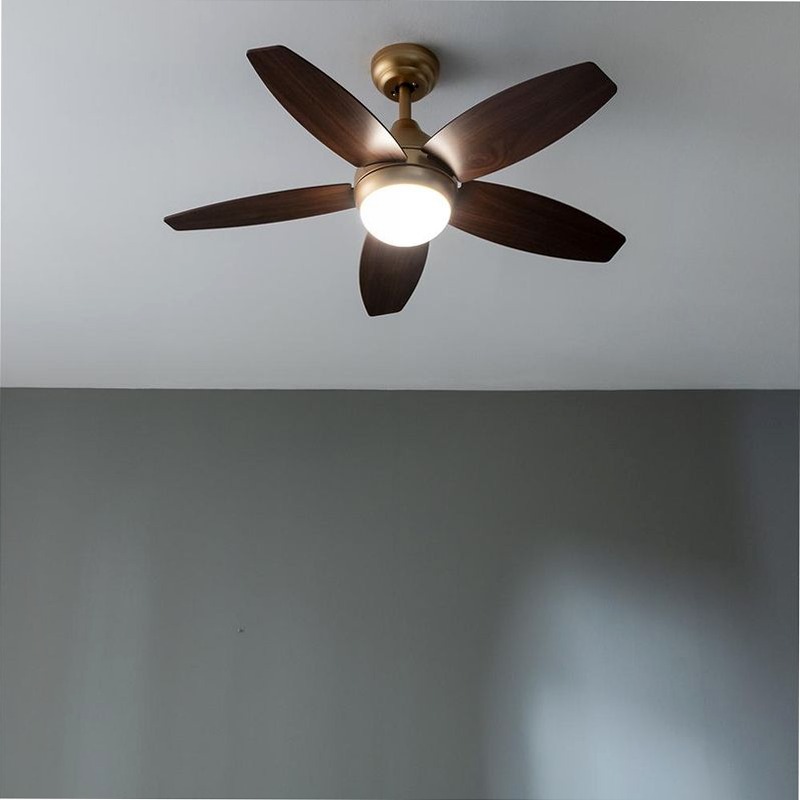 EnergySilence Aero 4200 GoldDarkWood