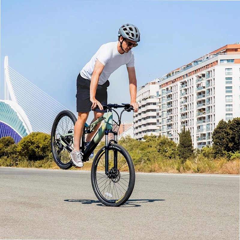 Mountain Millor - Mountain Bike Elettrica