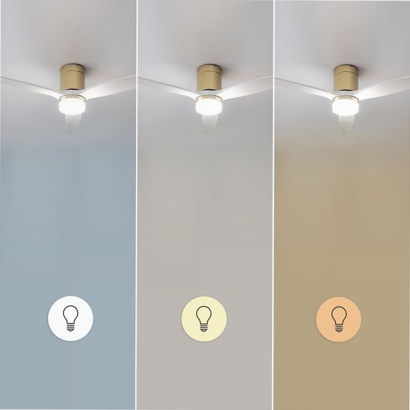 EnerSile Aero 5600 Aq GoldWhiteWood Con