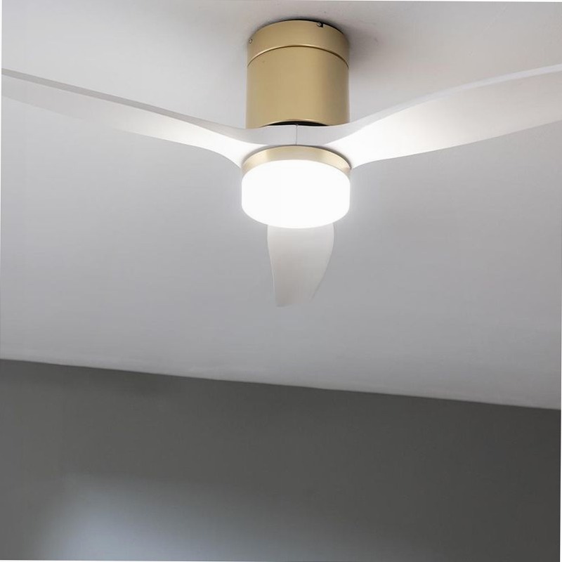 EnerSile Aero 5600 Aq GoldWhiteWood Con