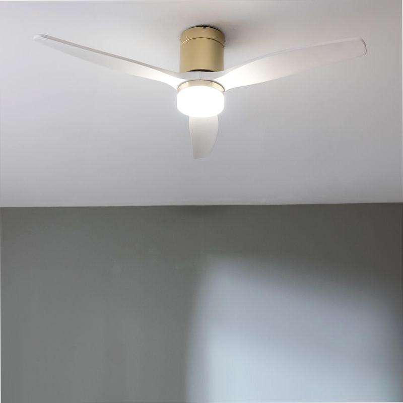 EnerSile Aero 5600 Aq GoldWhiteWood Con