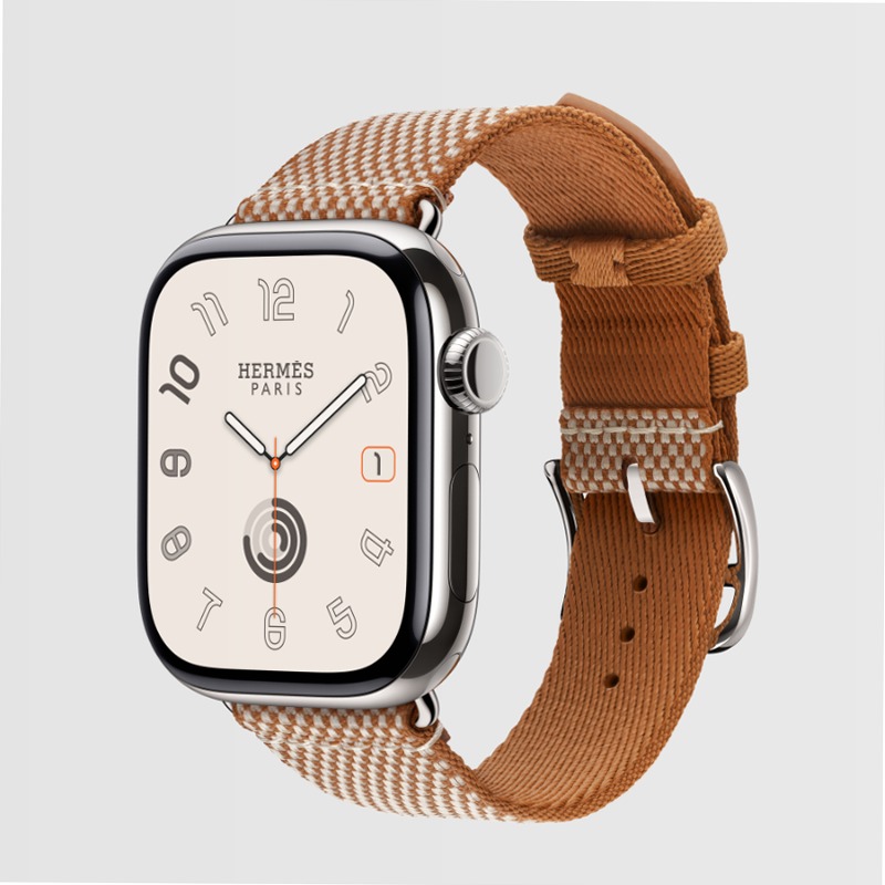 Apple Watch Hermès Series 11 Argento