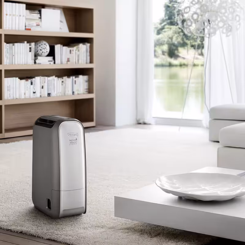 Deumidificatore AriaDry Light DNS80