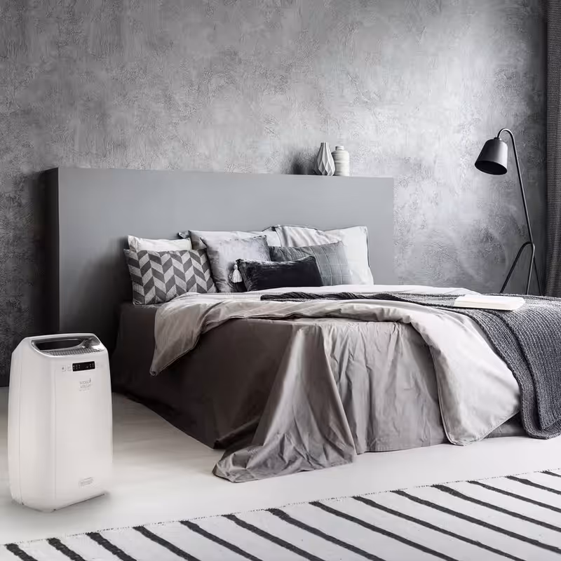 Deumidificatore AriaDry Multi DEXD216RF Bianco