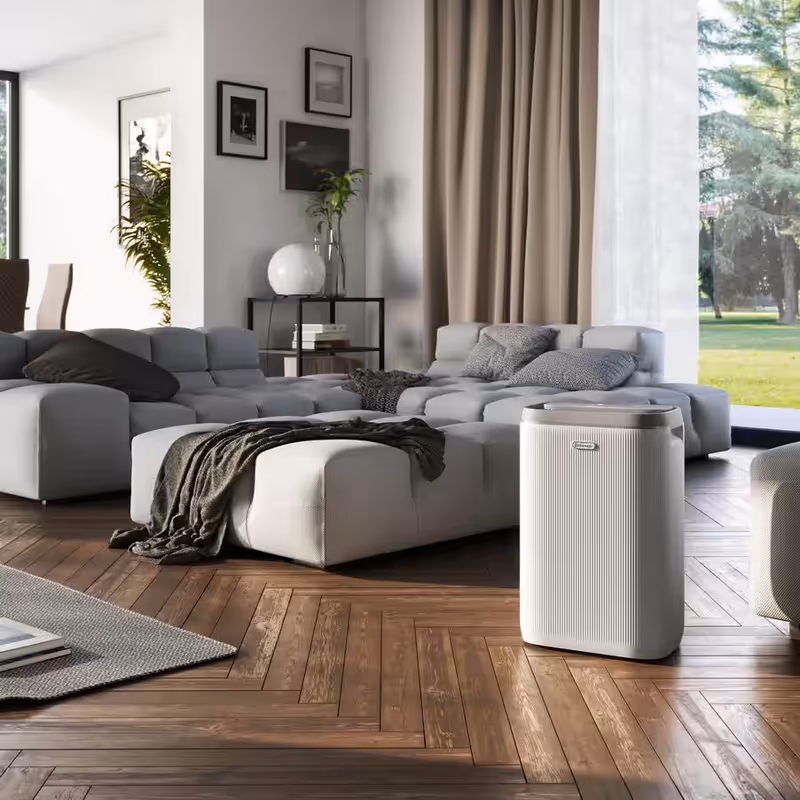 Deumidificatore AriaDry Plus DTI225