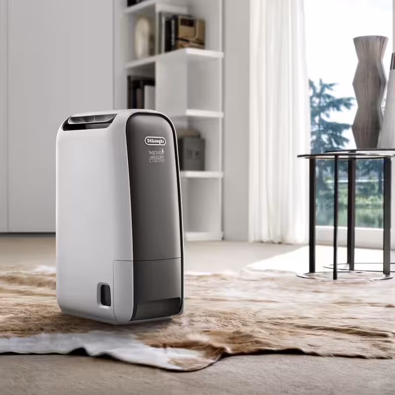 DNS65 Deumidificatore AriaDry Light Bianco