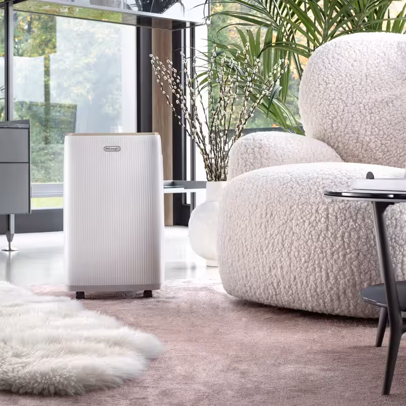 Deumidificatore AriaDry Evo DEP214 Bianco