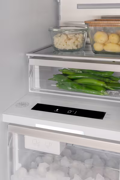 Colonna Freezer 45cm Bertazzoni 245lt Incasso