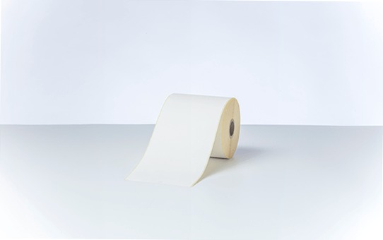 Etichette termiche Brother BDE1J000102