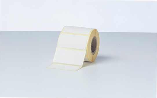 Etichette Pretagliate Brother BDE1J026051060