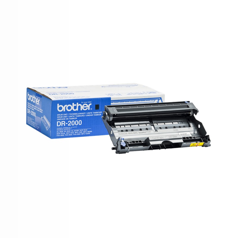 Tamburo Originale Brother DR-2000