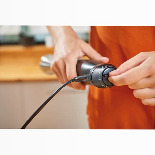 Frullatore a immersione da 1000W in acciaio inossidabile con accessori