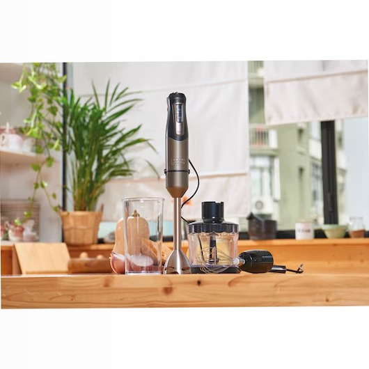 Frullatore a immersione da 1000W in acciaio inossidabile con accessori