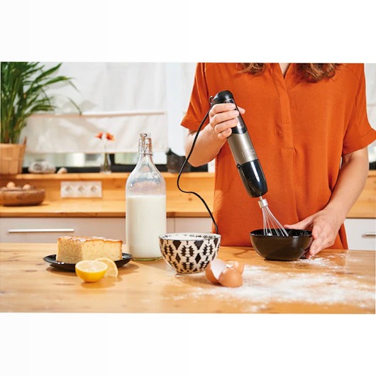 Frullatore a immersione da 1000W in acciaio inossidabile con accessori