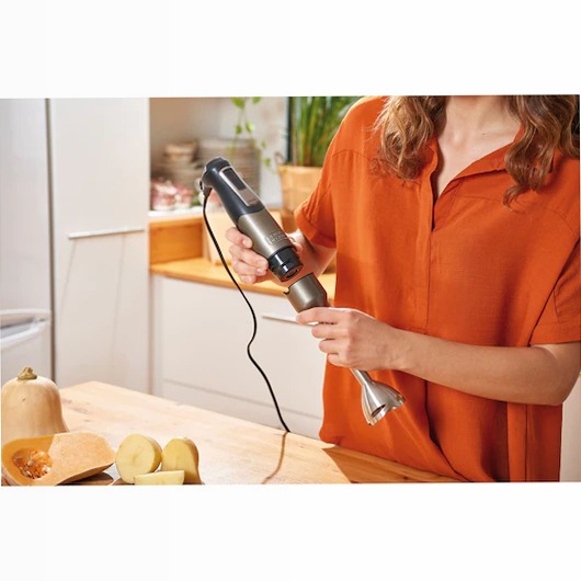 Frullatore a immersione da 1000W in acciaio inossidabile con accessori