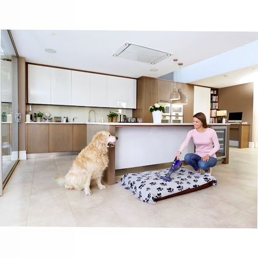 Aspiratore portatile Dustbuster PET