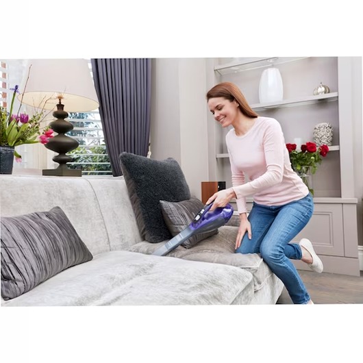 Aspiratore portatile Dustbuster PET