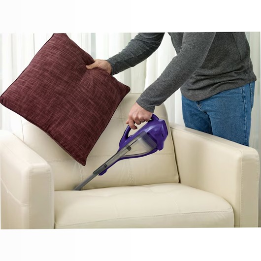 Aspiratore portatile Dustbuster PET